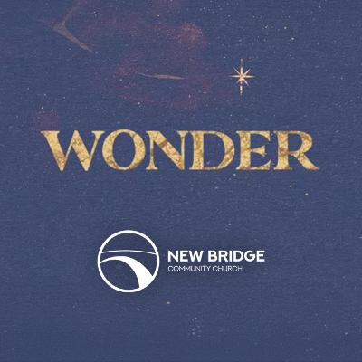 The Wonder of Anticipation (The Wonder of Christmas)