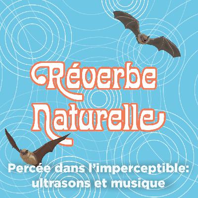 Percée dans l'imperceptible : ultrasons des chauves-souris et musique, avec Batttrip