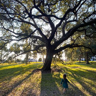 Contemporary Christian vs. Traditional Hymnody | an interview with Chris Hoyt