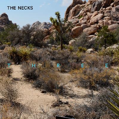 Clark Grant Interviews Lloyd Swanton of Austrialian Group 'The Necks'