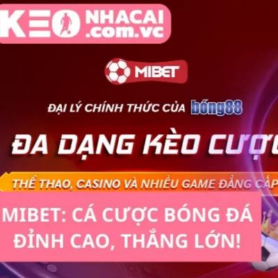 Trải Nghiệm Cá Cược Đỉnh Cao Tại Mibet Trải Nghiệm Cá Cược Đỉnh Cao Tại Mibet
