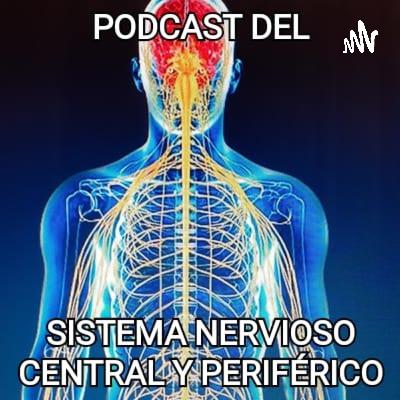 Podcast Sistema nervioso