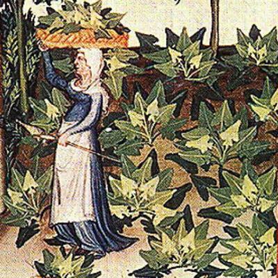 Zomer: Historische Heerlijkheden
