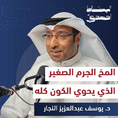 كيف يصنع الدماغ حياتنا اليومية؟ | د. يوسف عبدالعزيز النجار