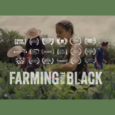 Insights from award-winning environmental filmmaker, Mark Decena