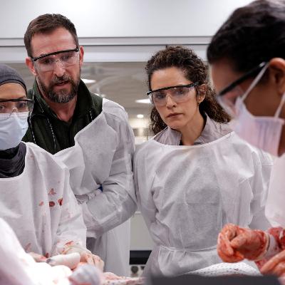 Is ‘The Pitt’ accurate? Medical experts weigh in Is ‘The Pitt’ accurate? Medical experts weigh in