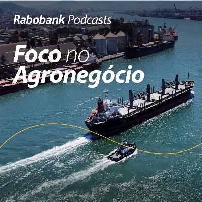 Exportações Brasileiras de carnes e o conflito no Oriente Médio