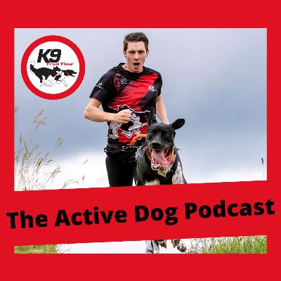 Episode 11: How canicross differs from trail running