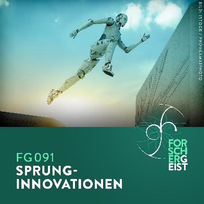 FG091 Sprunginnovationen FG091 Sprunginnovationen