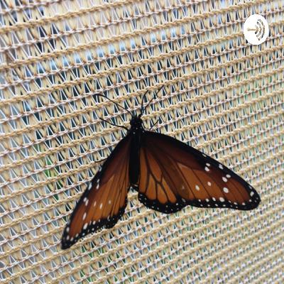 Life with Bee. (Trailer)