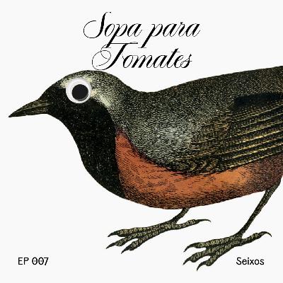 sopa para tomates #7 - seixos