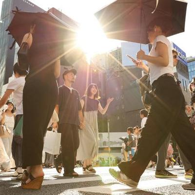 11月7日11時 経済・スポーツ・科学のニュースまとめ