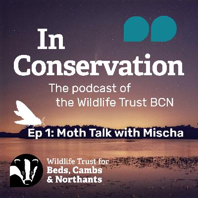 Episode 1: Moth Talk with Mischa