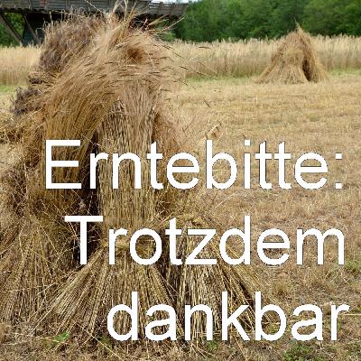 Erntebitte 2025: Trotzdem dankbar Erntebitte 2025: Trotzdem dankbar