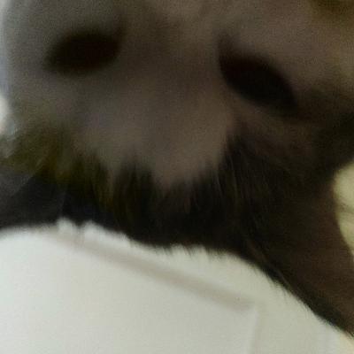 Ujian Tengah Semester pemberdayaan masyarakat desa