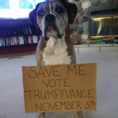 Trump was right, skinning cat tutorials, democrat connection to mexican cartels & much more