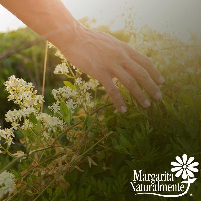 Fórmulas Naturales Fórmulas Naturales