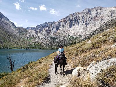 Stewardship and Preservation