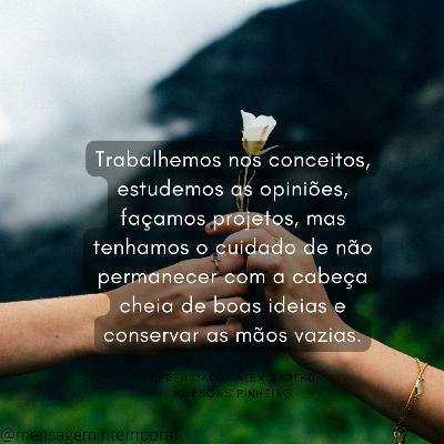 Realizações #05 Realizações #05