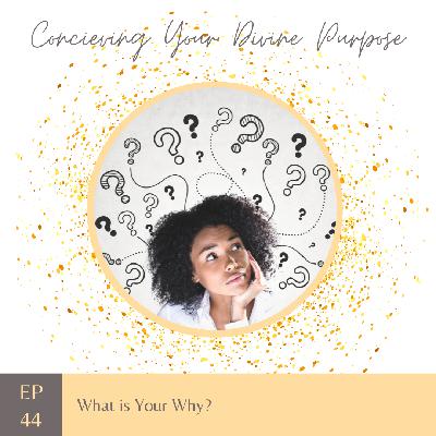 EP44 What is Your Why?