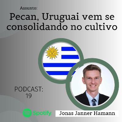 19 - Pecan, Uruguai vem se consolidando no cultivo