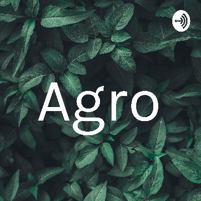 Agroecologia Urbana Agroecologia Urbana