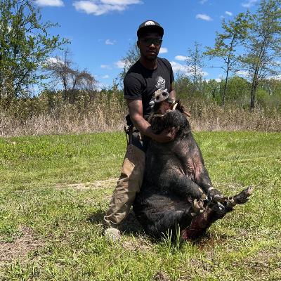 When You Get Tangled in a Hog… Which Vest Holds Up SG EPISODE