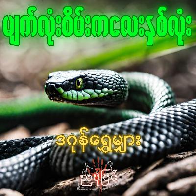 မျက်လုံးစိမ်းကလေးနှစ်လုံး - ဒဂုန်ရွှေမျှား | လျှို့ဝှက်ဆန်းကြယ် ဇာတ်လမ်း | Myanmar Audiobook