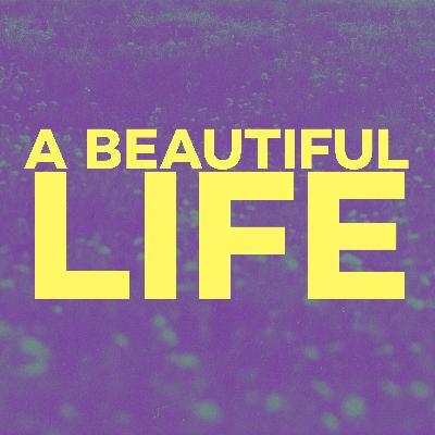 A Beautiful Life