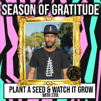Season Of Gratitude - Plant A Seed & Watch It Grow with Stix