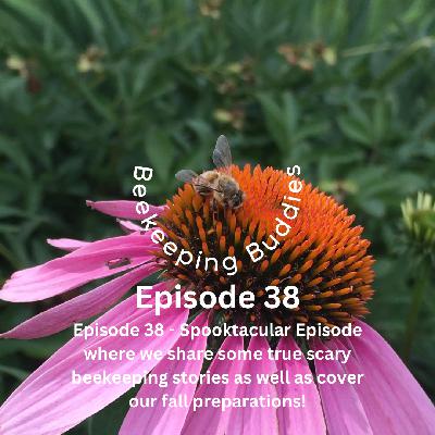 Episode 38 - Fall has crept in, spooky Halloween Beekeeping Stories, Chunk Comb and our Honeybee Hotline!