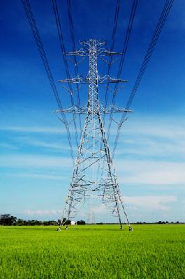 RARE Market Update 20 April 2020 RARE Market Update 20 April 2020