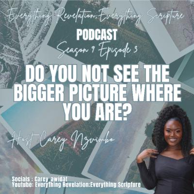 Do You Not See The Bigger Picture Where You Are?