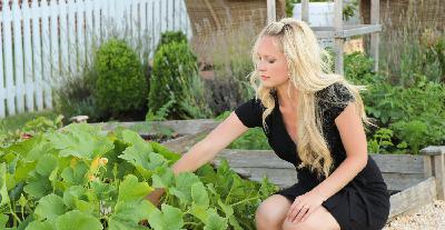How we create a simple, productive little backyard raised-bed garden from seed... with NO pesticides, herbicides or chemical fertilizers!! How we create a simple, productive little backyard raised-bed garden from seed... with NO pesticides, herbicides or chemical fertilizers!!
