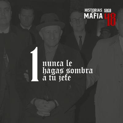 Saga 48: La primera ley del poder: Nunca le hagas sombra a tu jefe