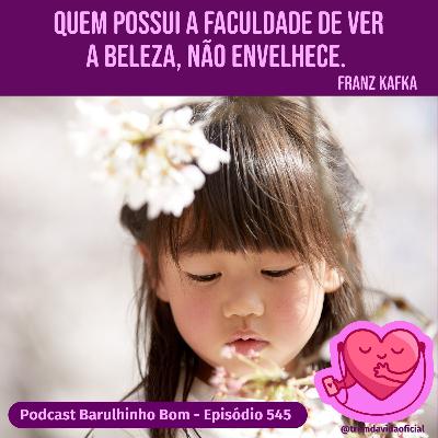 545 Apreciação da beleza e excelência
