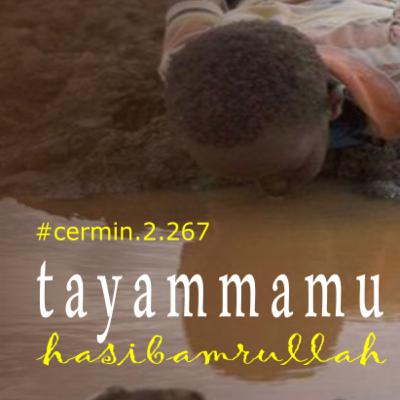 t a y a m m a m u