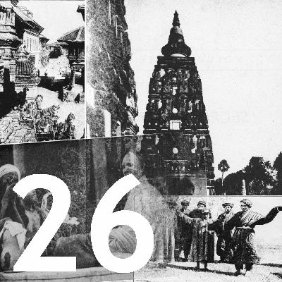 26: Animals And Human Animals 26: Animals And Human Animals