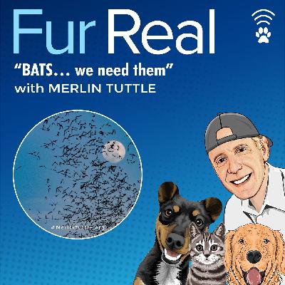 "BATS...we need them" with Merlin Tuttle