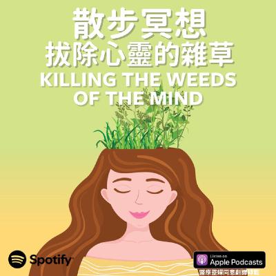 醫療靈媒散步冥想 Medical Medium walking meditation