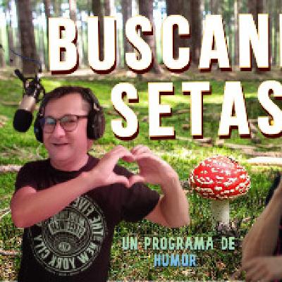 Buscando Setas 29 5T Buscando Setas 29 5T