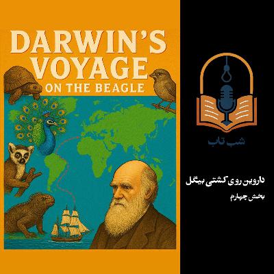 شب تاب: داروین روی کشتی بیگل - بخش چهارم شب تاب: داروین روی کشتی بیگل - بخش چهارم