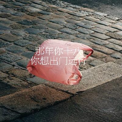 23.那年你十八，你想出门远行