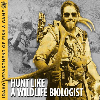 Ep. 3 - Hunt Like a Wildlife Biologist With David Bernasconi