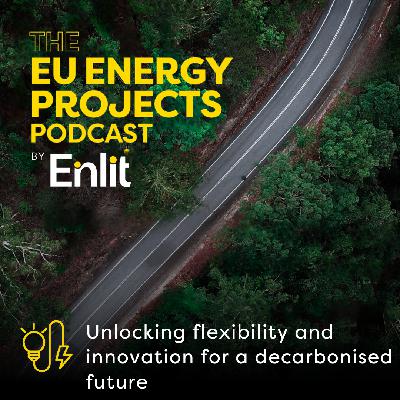 Unlocking flexibility and innovation for a decarbonised future