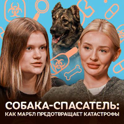 Собака-спасатель: Как собаки предотвращают катастрофы / Догси Подкаст #5