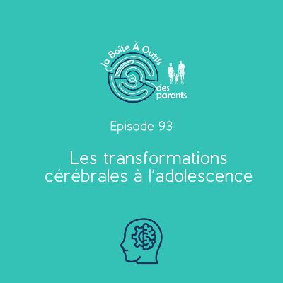 Les transformations cérébrales à l’adolescence (93) – Ce qui se passe dans le cerveau de votre ado