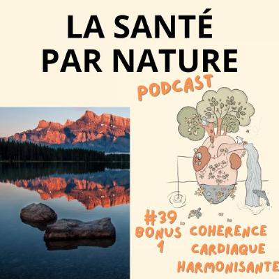 #39 BONUS 1 - Cohérence cardiaque harmonisante
