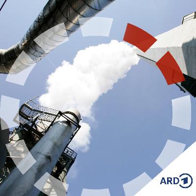 CO2 einfach wegsperren, was bringt das?