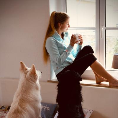 Hund bettelt am Tisch und nun?